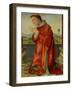 Saint Stephen-Francesco Francia-Framed Giclee Print