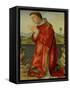 Saint Stephen-Francesco Francia-Framed Stretched Canvas