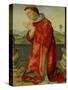 Saint Stephen-Francesco Francia-Stretched Canvas