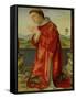 Saint Stephen-Francesco Francia-Framed Stretched Canvas