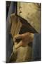 Saint Thomas-Georges de La Tour-Mounted Giclee Print