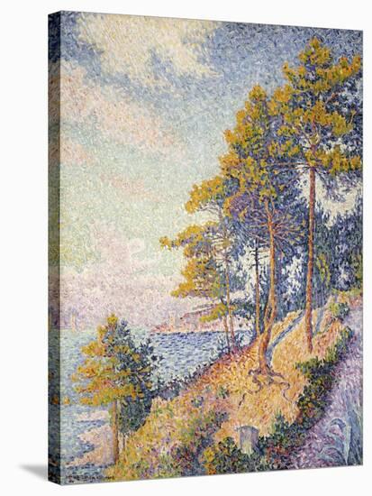 Saint Tropez, der Küstenweg (Saint Tropez, le Sentier Côtier). 1902-Paul Signac-Stretched Canvas