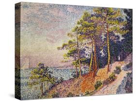 Saint -Tropez, le Sentier de Douane, 1905-Paul Signac-Stretched Canvas