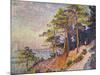 Saint -Tropez, le Sentier de Douane, 1905-Paul Signac-Mounted Giclee Print