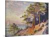 Saint -Tropez, le Sentier de Douane, 1905-Paul Signac-Stretched Canvas