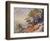 Saint -Tropez, le Sentier de Douane, 1905-Paul Signac-Framed Giclee Print