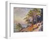 Saint -Tropez, le Sentier de Douane, 1905-Paul Signac-Framed Giclee Print