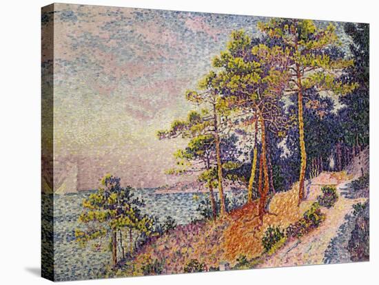 Saint -Tropez, le Sentier de Douane, 1905-Paul Signac-Stretched Canvas