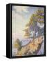 Saint Tropez, the Coastal Path, 1902-Paul Signac-Framed Stretched Canvas