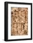 Saint-Vaast Abbey, Arras Fine Arts Museum, Arras, Pas-de-Calais, France-Godong-Framed Photographic Print