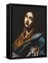 Saint Veronica-Simon Vouet-Framed Stretched Canvas