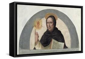 Saint Vincent Ferrer-Fra Bartolommeo-Framed Stretched Canvas