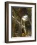 Saint Volodymyr's Cathedral, Kiev, Ukraine, Europe-Graham Lawrence-Framed Photographic Print