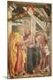 Saints Peter and Paul and Two Saints, Detail from San Zeno Altarpiece, 1456-1460-Andrea Mantegna-Mounted Giclee Print