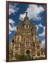 Saints Peter and Paul Cathedral, Peterhof, Saint Petersburg, Russia-Walter Bibikow-Framed Photographic Print