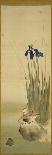 Hanging Scroll Depicting a Snow Clad Pine, from a Triptych of the Three Seasons, Japanese-Sakai Hoitsu-Giclee Print