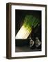 Sake and Leeks-Stephen Lebovits-Framed Giclee Print