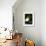 Sake and Leeks-Stephen Lebovits-Framed Giclee Print displayed on a wall