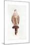 Saker, 1988-Mary Clare Critchley-Salmonson-Mounted Giclee Print