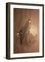 Saker Falcon (Falco Sacer), 1856-67-Joseph Wolf-Framed Giclee Print