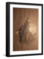 Saker Falcon (Falco Sacer), 1856-67-Joseph Wolf-Framed Giclee Print