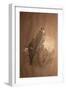 Saker Falcon (Falco Sacer), 1856-67-Joseph Wolf-Framed Giclee Print