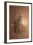 Saker Falcon (Falco Sacer), 1856-67-Joseph Wolf-Framed Giclee Print