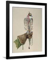 Saker on a Falconer's Wrist, 1981-Mary Clare Critchley-Salmonson-Framed Giclee Print