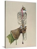 Saker on a Falconer's Wrist, 1981-Mary Clare Critchley-Salmonson-Stretched Canvas