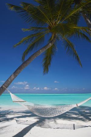Hammock on Tropical Beach, Maldives, Indian Ocean, Asia