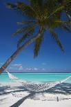 Luxury Over-Water Bungalow at Gili Lankanfushi Resort Maldives and Beach with Palm Trees-Sakis Papadopoulos-Photographic Print