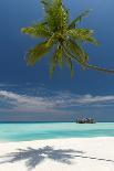 Maldives beach, lagoon and palm trees, The Maldives, Indian Ocean, Asia-Sakis Papadopoulos-Photographic Print