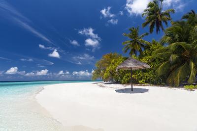 Maldives beach, lagoon and palm trees, The Maldives, Indian Ocean, Asia