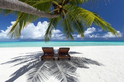 Two deck chairs under palm trees and tropical beach, The Maldives, Indian Ocean, Asia