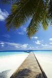 Wooden Jetty Out to Tropical Sea, Maldives, Indian Ocean, Asia-Sakis Papadopoulos-Photographic Print