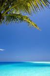 Shades of Blue and Palm Tree, Tropical Beach, Maldives, Indian Ocean, Asia-Sakis-Framed Photographic Print