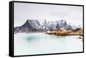 Sakrisoy, Moskenesoy, Lofoten Islands, Norway, Scandinavia, Europe-Christian Kober-Framed Stretched Canvas