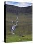Saksunardalur Valley Near Saksun, Streymoy, Faroe Islands, Denmark, Europe-Patrick Dieudonne-Stretched Canvas