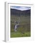 Saksunardalur Valley Near Saksun, Streymoy, Faroe Islands, Denmark, Europe-Patrick Dieudonne-Framed Photographic Print