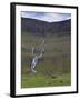 Saksunardalur Valley Near Saksun, Streymoy, Faroe Islands, Denmark, Europe-Patrick Dieudonne-Framed Photographic Print