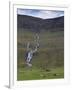 Saksunardalur Valley Near Saksun, Streymoy, Faroe Islands, Denmark, Europe-Patrick Dieudonne-Framed Photographic Print