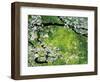 Sakura and Nanohana, Imperial Palace Moat, Tokyo, Japan-Rob Tilley-Framed Photographic Print