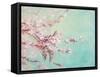 Sakura Fragile Beauty-Lanie Loreth-Framed Stretched Canvas