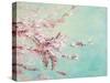 Sakura Fragile Beauty-Lanie Loreth-Stretched Canvas