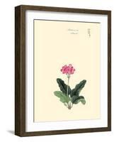 Sakura Su-March-Megata Morikaga-Framed Art Print