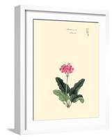 Sakura Su-March-Megata Morikaga-Framed Art Print