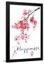Sakura Tree - Happiness-Trends International-Framed Poster