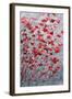 Sakura Tree II-Ann Marie Coolick-Framed Art Print