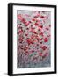 Sakura Tree II-Ann Marie Coolick-Framed Art Print