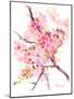 Sakura-Suren Nersisyan-Mounted Art Print